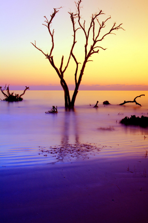 Hunting Island State Park - South Carolina - USA (by Scott… / http://picstreet.fr