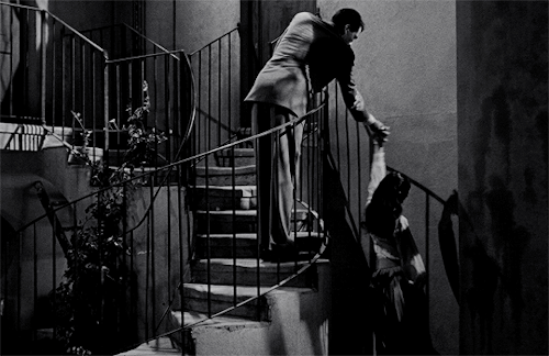 gregory-peck:Roman Holiday (1953) dir. William Wyler
