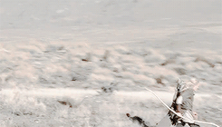 lehgolass:  The most tireless of all the Fellowship. 