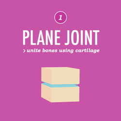 thought-cafe:  Some GIFs for you! From one of our favourite episodes of Crash Course