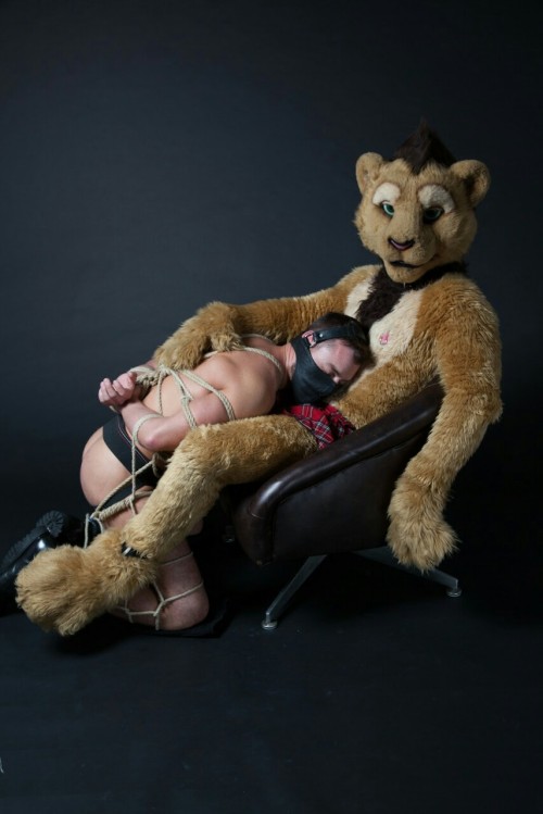 uptopuppystuff:  Aww :-)