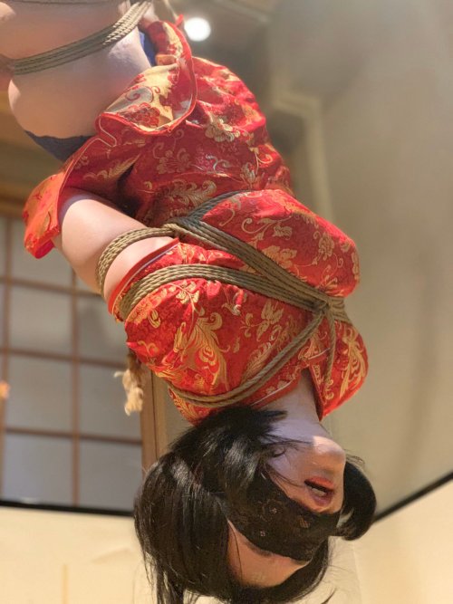 justscreenshots:  Kinbaku & Photo Shigonawa