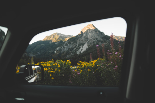 samelkinsphoto: washington summers