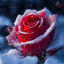 icefrozenrose