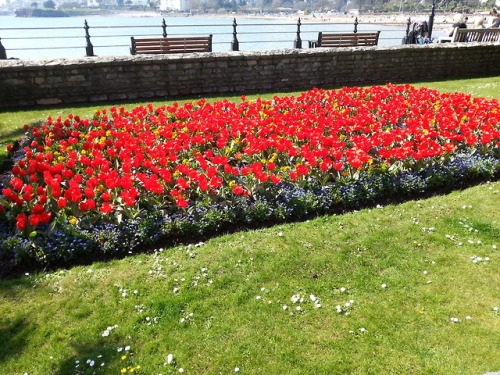 Porn srj1990:  Torquay looked beautiful today photos