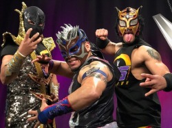 toosweetme:  GOOD LUCHA BOYS