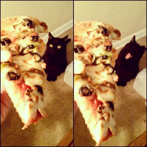 GIMMEEEEEEEEEEEEEEEE !!!