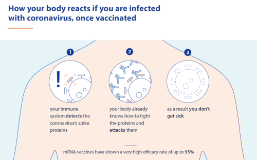themedicalstate: How mRNA vaccines protect you against COVID-19- by Council of European Union (Updat