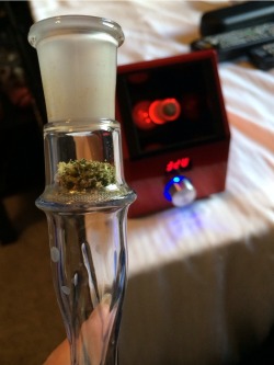 mojosodope178:  420drugsandtits:  viviidvibes:  my vape’s name is Ruby bc she’s red and hits like a gem  Someone is about to get shmackkkeedd  i have the same vape! named it Ron Burgundy 