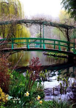 audreylovesparis:  Monet’s garden at Giverny