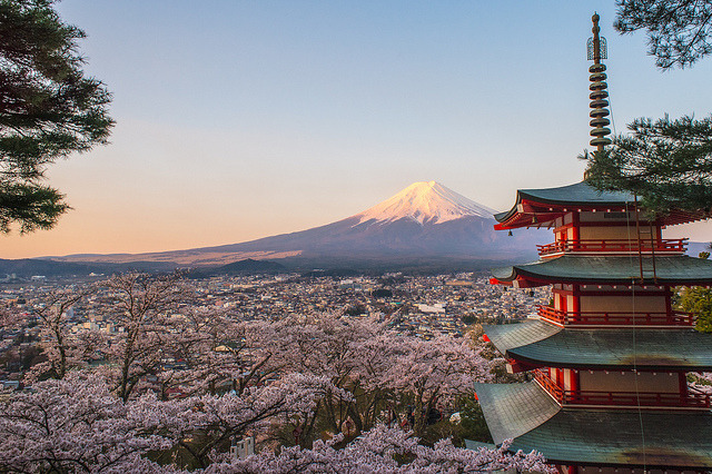 fuckyeahjapanandkorea:  Mt.Fuji, Sakura, Temple (Morning &amp; Night) by @AK1