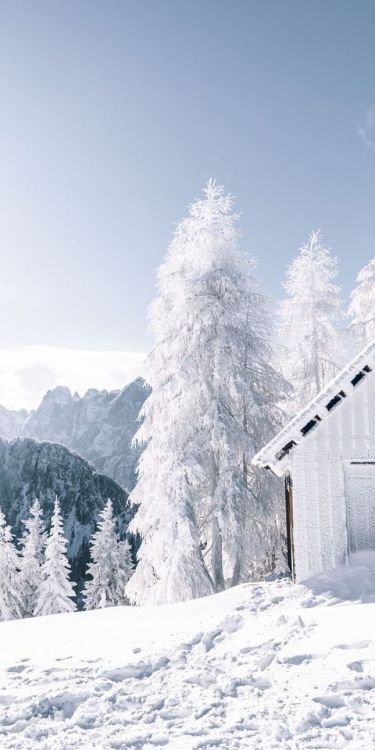Winter, landscape, forest, white tree, snowfrost, hut, 1080x2160 wallpaper @wallpapersmug : b