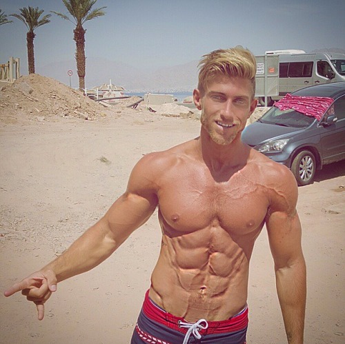 Adonis Files