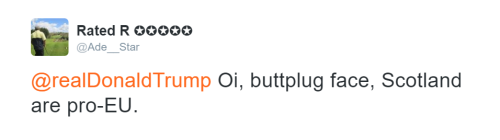 cthullhu: foulmouthedliberty: black-rogue: These insults give me life mangled apricot hellbeast @wil