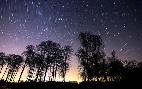 brutalgeneration:  By SBCriss95 