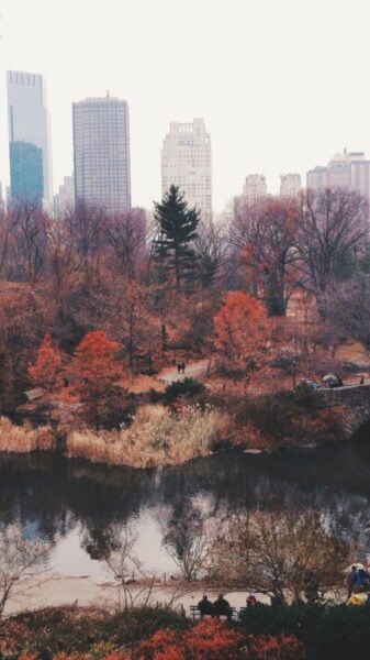 autumnwintervibes:  Hello Autumn 🍂