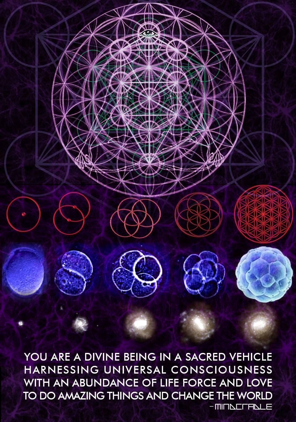 awakeningourtruth:  http://awakeningourtruth.com/