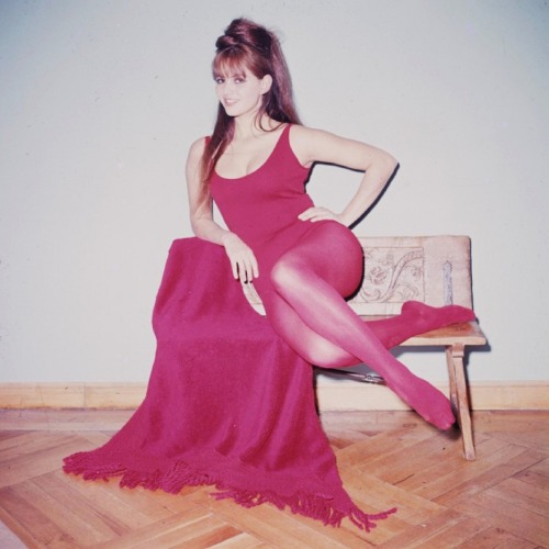 Porn retrogirly:Claudia Cardinale photos