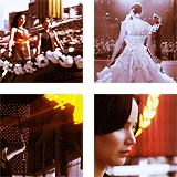 athenasia:  The bird, the pin, the song, the berries, the watch, the cracker, the dress that burst into flames. I am the mockingjay. The one that survived despite the Capitol’s plans. The symbol of the rebellion. 