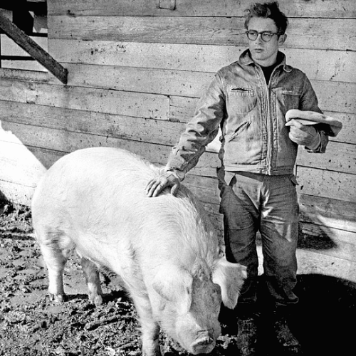 thelittlefreakazoidthatcould - James Dean at his aunt and uncle’s...