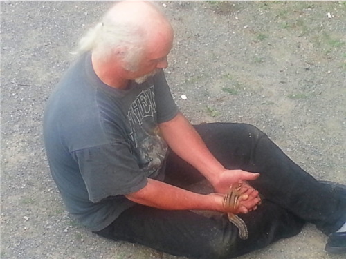 terrance-shmerrance:  theundeadavenger:  This is my Dad.  He’s 6’4, 59 years old, and still has the muscle to break out two sets of handstand push-ups. An ex trucker, bouncer, and current mechanic.  He’s taken on a cult house in order to save