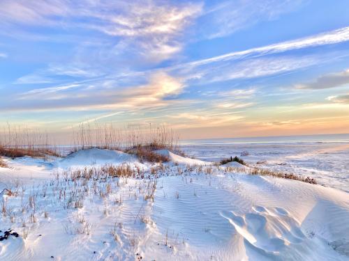 White sand dunes in the morning light, Cumberland Island National Seashore (4032x3024) (OC) - Author: Alaric_Darconville on reddit #nature#travel#landscape#amazing#beautiful