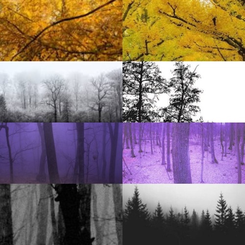 thatgayshitmoodboards: nonbinary forest aesthetic