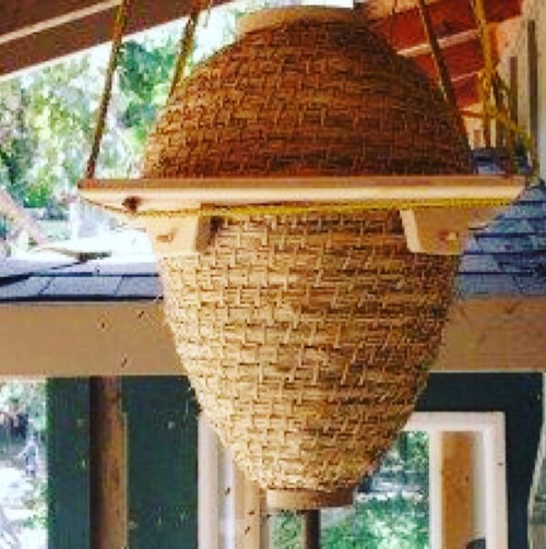 In love with these Sun &amp; Skep Hives&hellip;