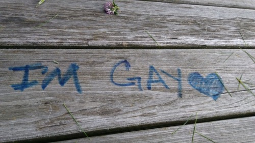 queergraffiti:“I’m gay ♡”at an elementary school in Wisconsin, USA