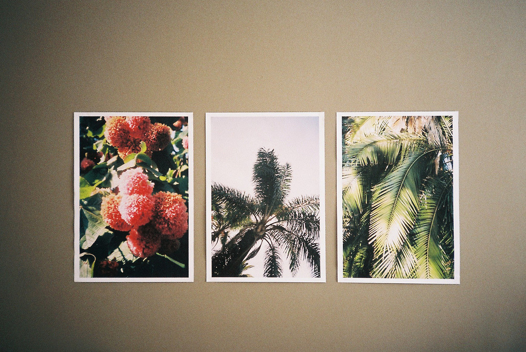 jacindaelena:   // the second bus home //
