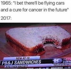 Legally speaking I am an expert witness on PB&amp;J sandwiches&hellip; I can tell you with 100% certainty&hellip; they are not&hellip; and anyone who thinks they are&hellip; has a double digit IQ.