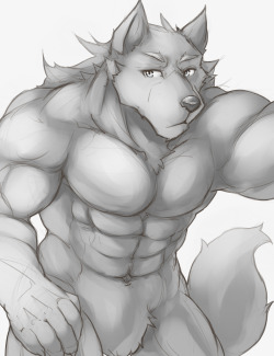 ralphthefeline:  Grey wolf anthro. Nothing