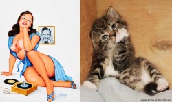 mymodernmet:  Cats That Look Like Pin Up Girls is a single-topic blog that pairs images of pin up girls from 1940s and 50s calendars with funny images of cats in the same exact poses.