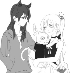 rwbyxw: 【Blake, Weiss and their children, White·Canadian·Hairless·Belladonna】 Blake：Weiss, tell the truth, where did you get this kid? I only go to war for 2 months, I do not believe you can give birth to a child in two months，And we’re all