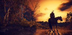 theewitcher:  geeknetwork:  The Witcher 3: Wild Hunt + scenery  Scary &amp; Beautiful