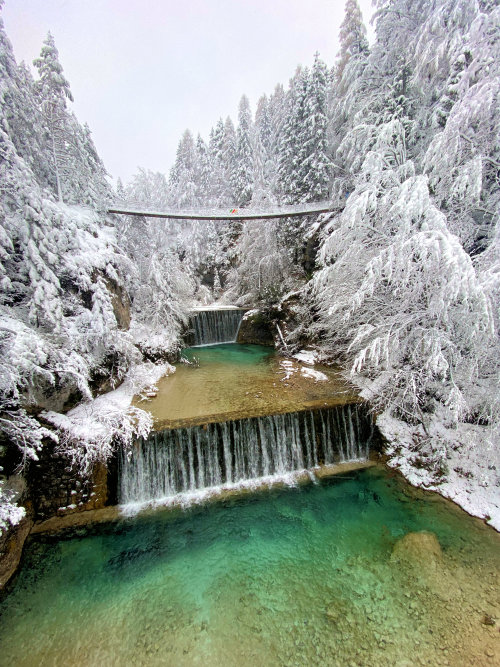 traveltoslovenia:PISNICA STREAM, Slovenia - a brand new photo of this crystal clear mountain strea