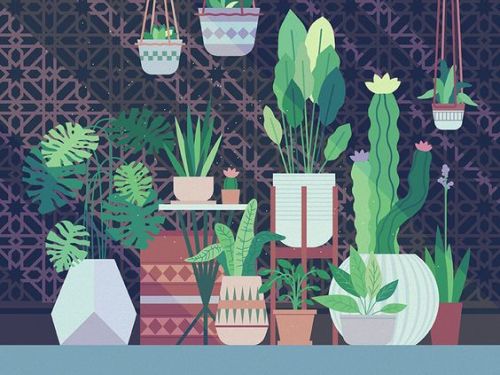 plantinghuman:I love this illustrations