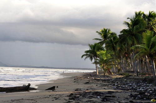 Dominican Republic after rain