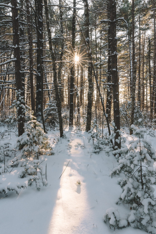 carterwdick:Day Trip to Wisconsin PointJanuary 13, 2018 | Superior, WI