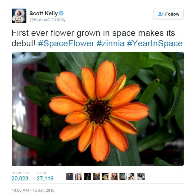 sci-universe:  Remember when I made the post Flowers could be blooming on the International