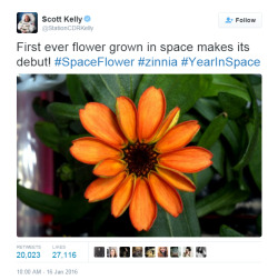 Sci-Universe:  Remember When I Made The Post Flowers Could Be Blooming On The International