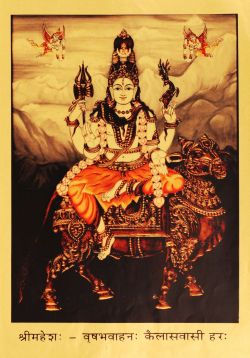 hinducosmos:  Shiva with Vahana (via pepperfry.com)
