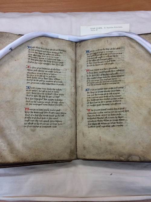 lightningrapunzel: Today I got to handle rare medieval manuscripts. I love my degree so damn mu