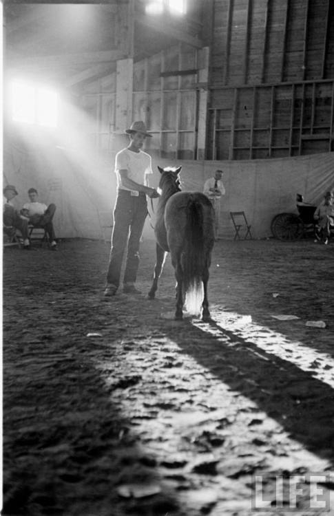 Shetland pony auction(Joe Scherschel. 1949)