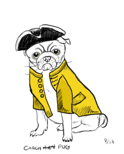 Pug.From wikipedia: &ldquo;In Italy they rode up front on private carriages, dressed in jackets and 