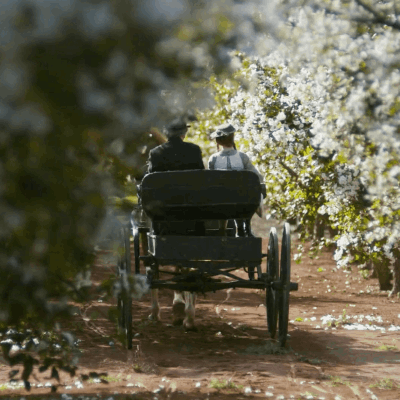 margarethelstone-2 - margarethelstone-2