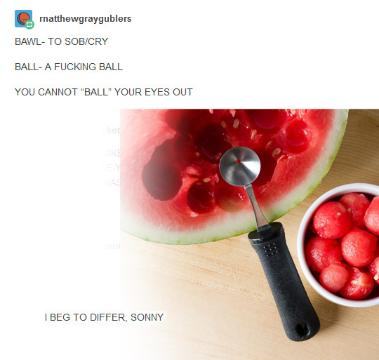 animakitty:  petermorwood:  desert-neon:  ace-spacepup:  mynuet:  maverikloki:  penbrydd:  leonawriter:  everylineeverystory:  soggywarmpockets:  rnatthewgraygublers:  melancholicmarionette:  emmablackeru:  tassiekitty:  ranetree:  extravagantshoes: 