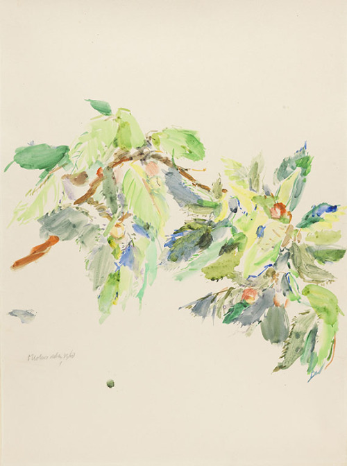 huariqueje:Cherry Branch    -    Oskar Kokoschka, 1960Austrian, 1886-1980watercolour on handmade pap