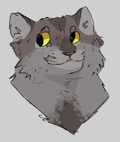 graystripe! baby boy babysorry for the dirty sketch i made this with a mouse and sketched on ms pain