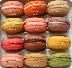 delectabledelight:  Macarons - Sadaharu Aoki